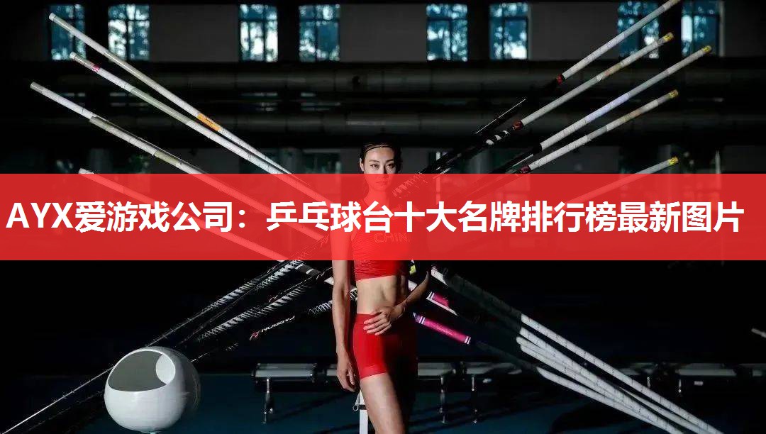 乒乓球台十大名牌排行榜最新图片 乒乓球台十大名牌排行榜最新图片