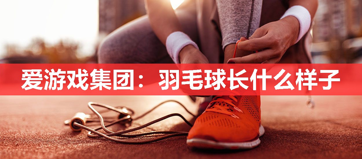 羽毛球长什么样子 羽毛球长什么样子