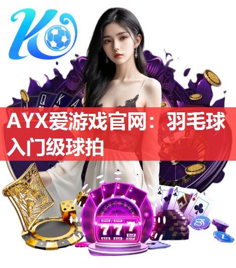 羽毛球入门级球拍 羽毛球入门级球拍