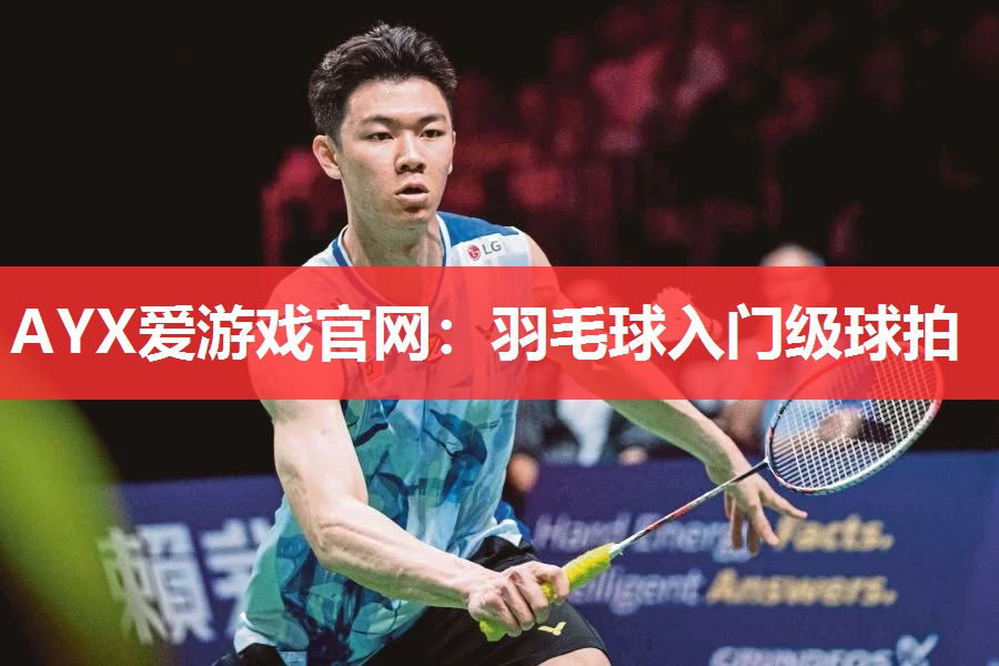 羽毛球入门级球拍 羽毛球入门级球拍