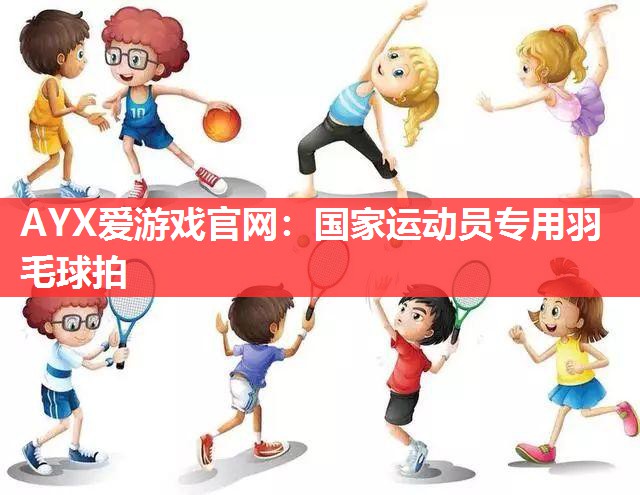 国家运动员专用羽毛球拍 国家运动员专用羽毛球拍