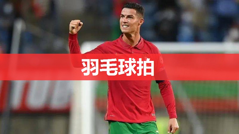 羽毛球拍 羽毛球拍