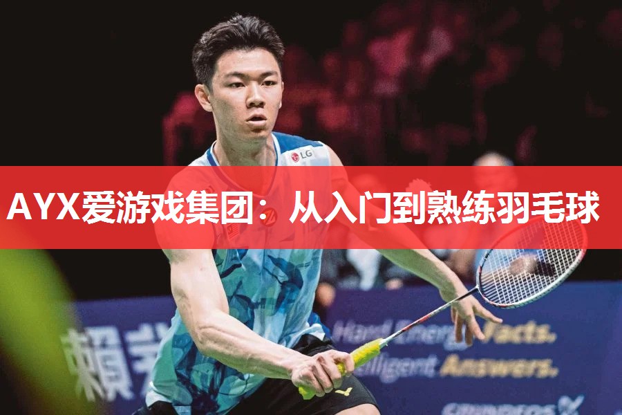 从入门到熟练羽毛球 从入门到熟练羽毛球