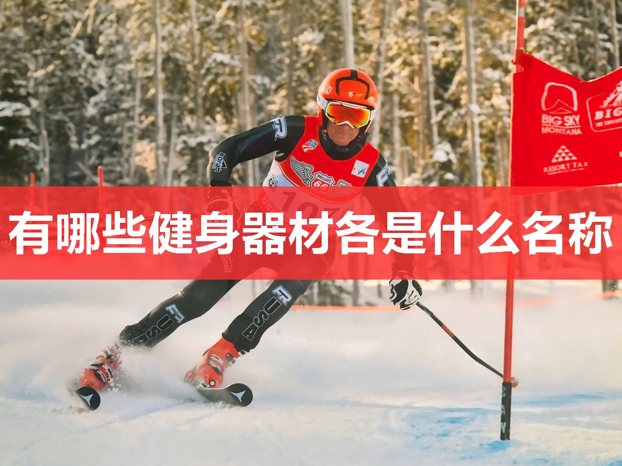 有哪些健身器材各是什么名称 有哪些健身器材各是什么名称