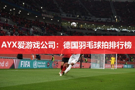德国羽毛球拍排行榜 德国羽毛球拍排行榜