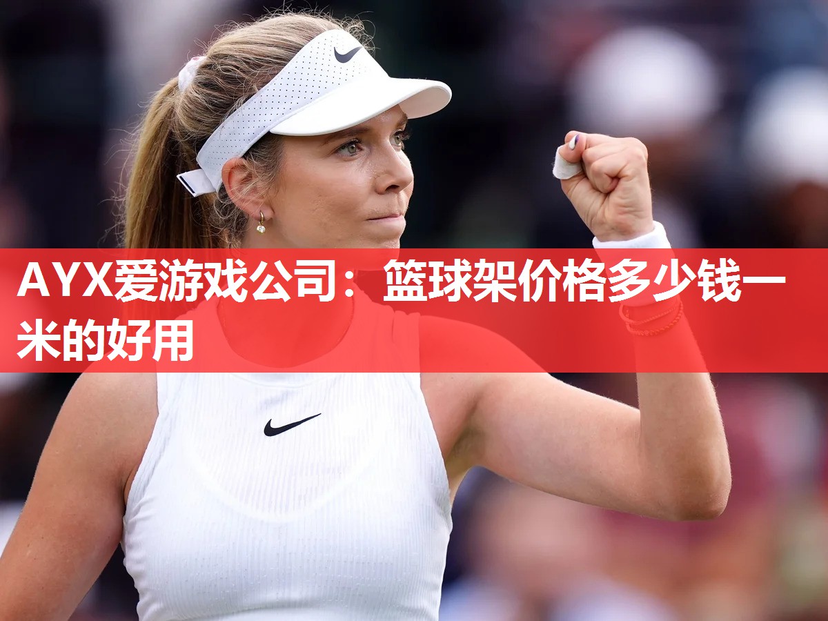 篮球架价格多少钱一米的好用 篮球架价格多少钱一米的好用