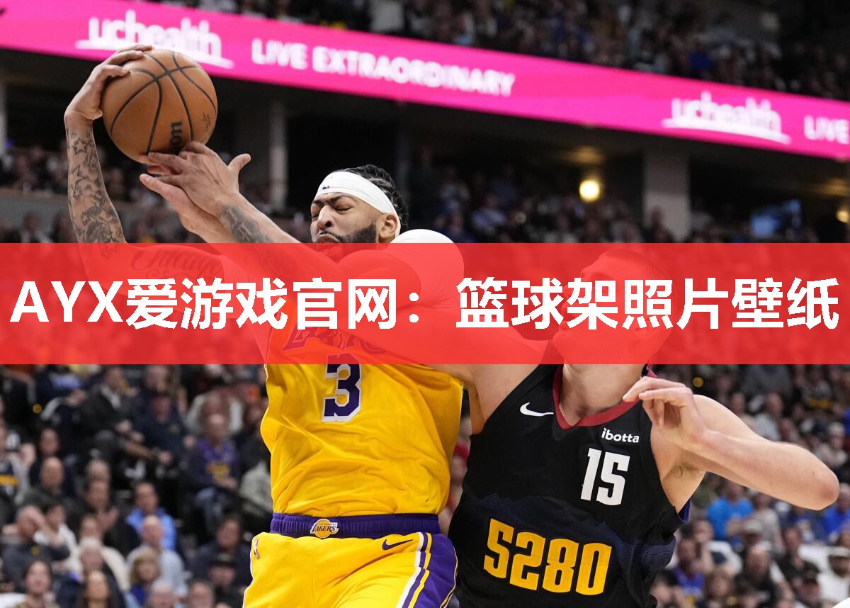 篮球架照片壁纸 篮球架照片壁纸