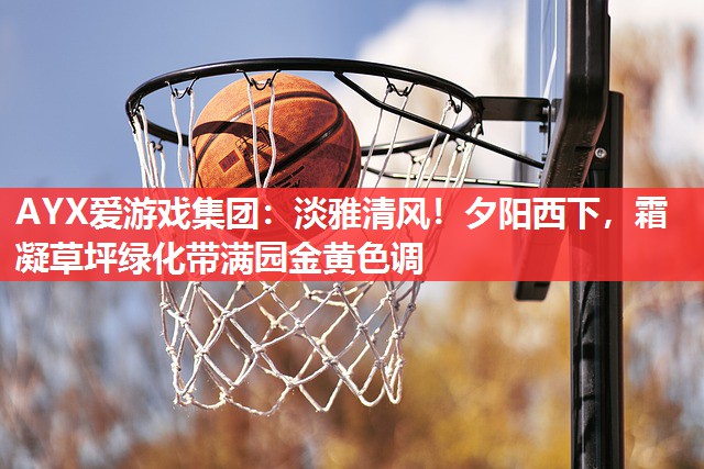 淡雅清风!夕阳西下,霜凝草坪绿化带满园金黄色调 淡雅清风!夕阳西下,霜凝草坪绿化带满园金黄色调