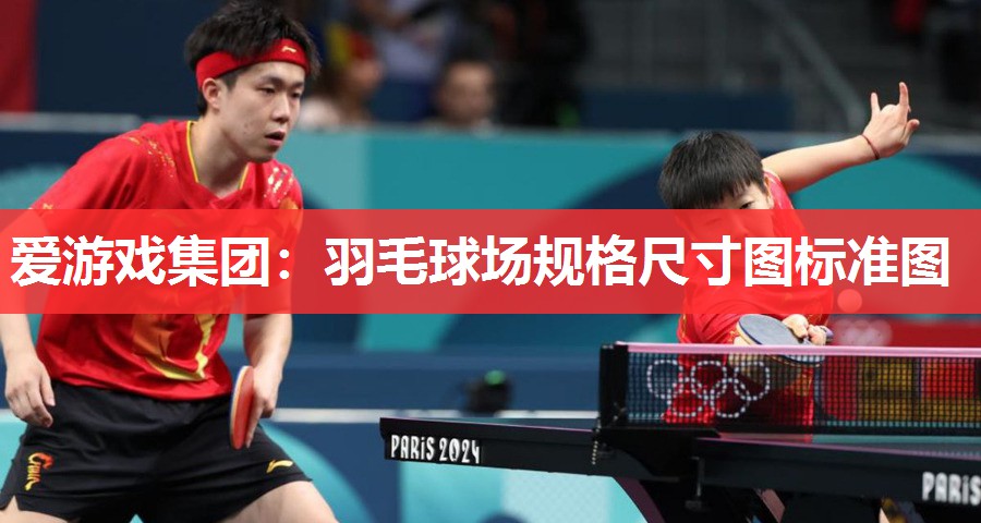 羽毛球场规格尺寸图标准图 羽毛球场规格尺寸图标准图