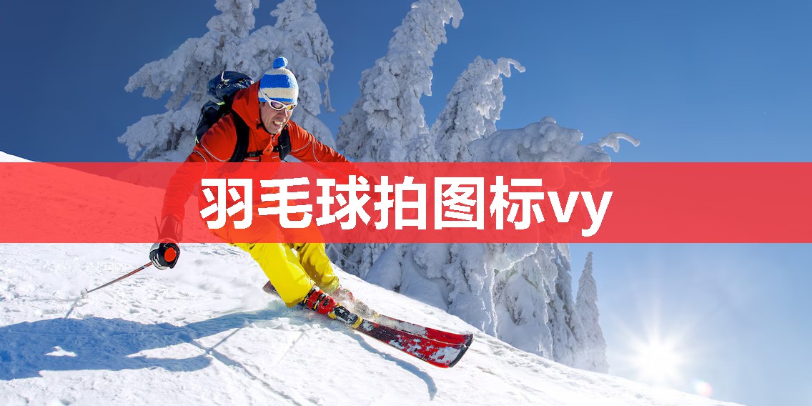 羽毛球拍图标vy 羽毛球拍图标vy